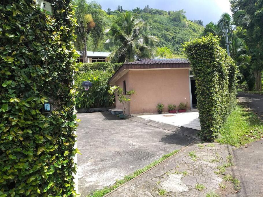 Vacation House In Tahiti Punaauia  Luaran gambar